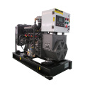 Vender bien Factory Direct 24kW 30KVA Gas Generator con garantía global